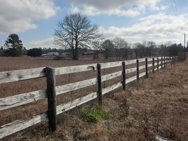 F & G Pickett Post Road Windsor, SC 29856 - Photo 4 of 18