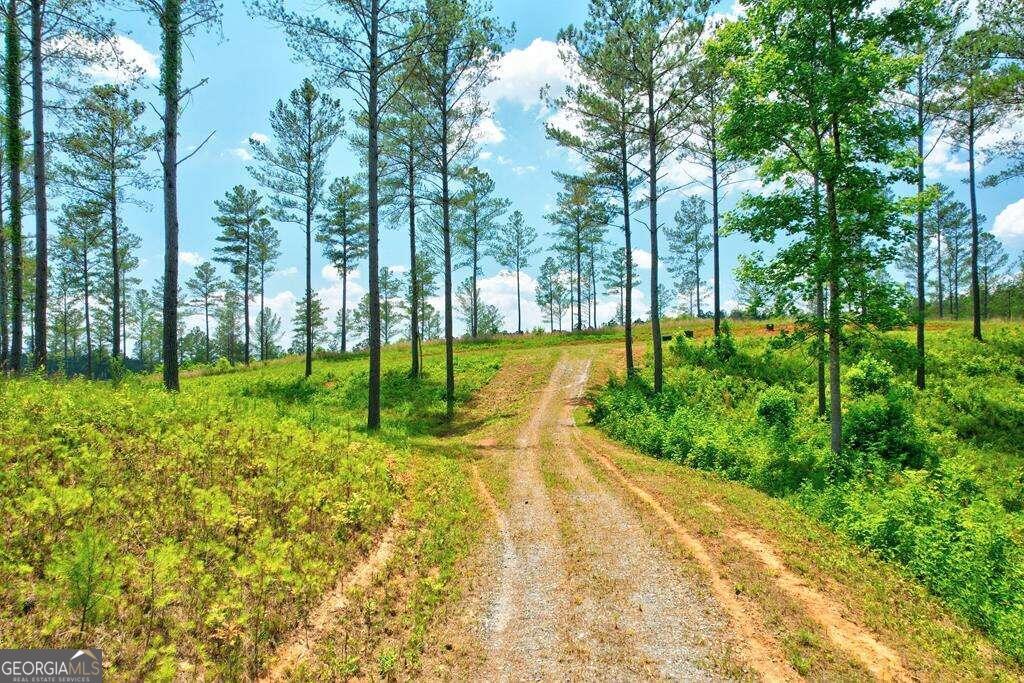 Lot 10 High River Road, Unit 10 Ellijay, GA 30540 - Photo 1 of 1 Gallery Image 1