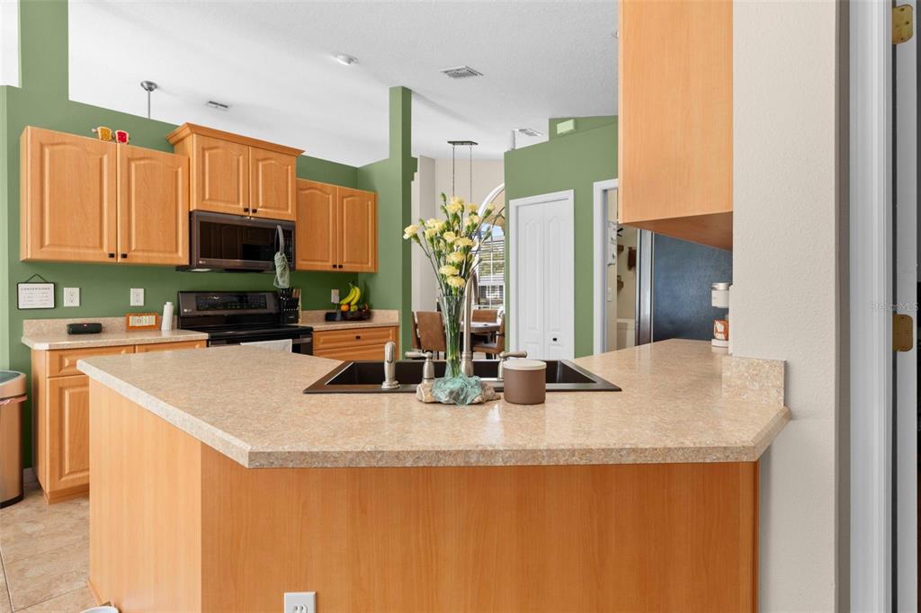 12114 Elston Street Spring Hill, FL 34609 - Photo 45 of 58