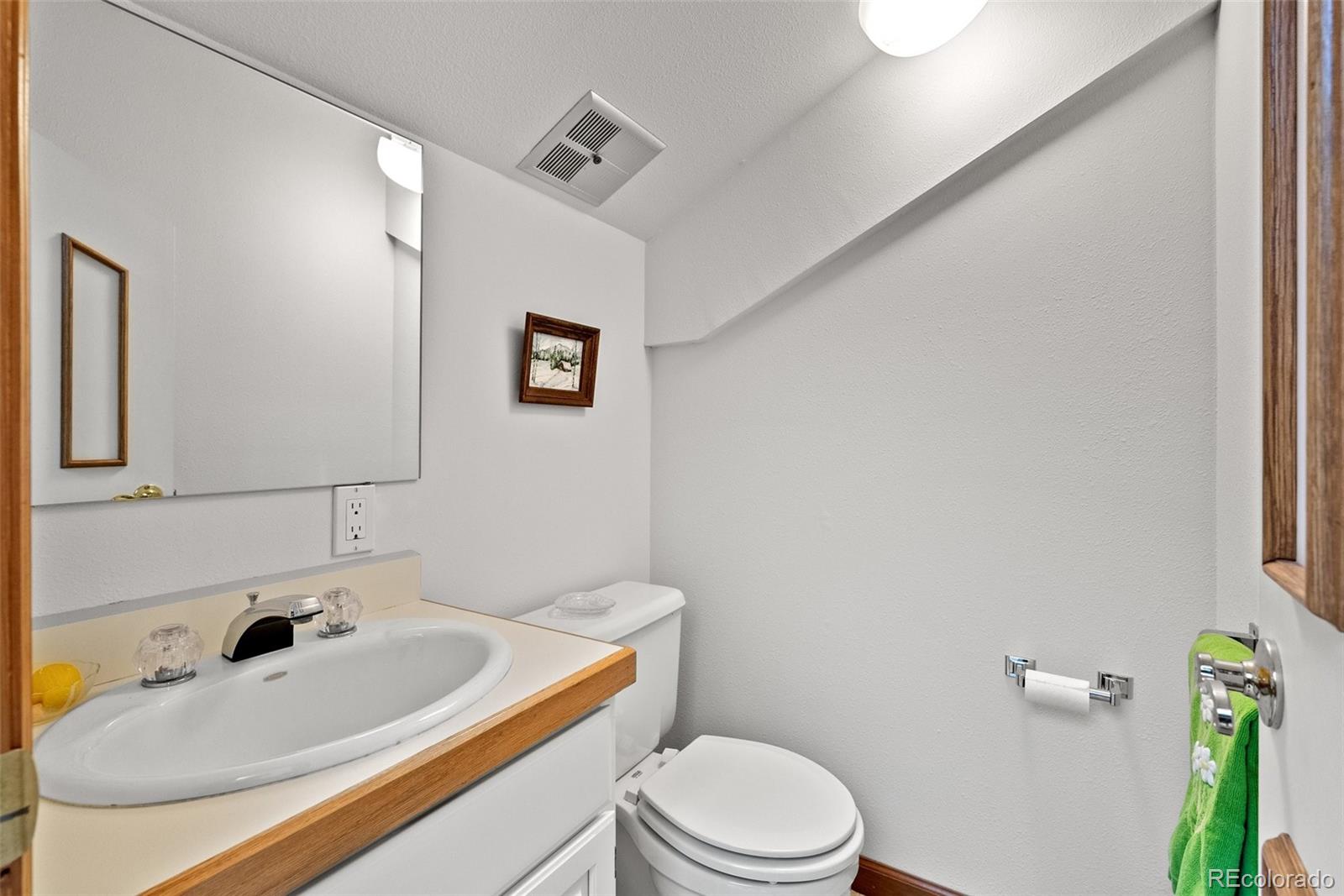 1680 Crow Valley Road Bailey, CO 80421 - Photo 24 of 50 a bathroom with a sink a toilet and shower