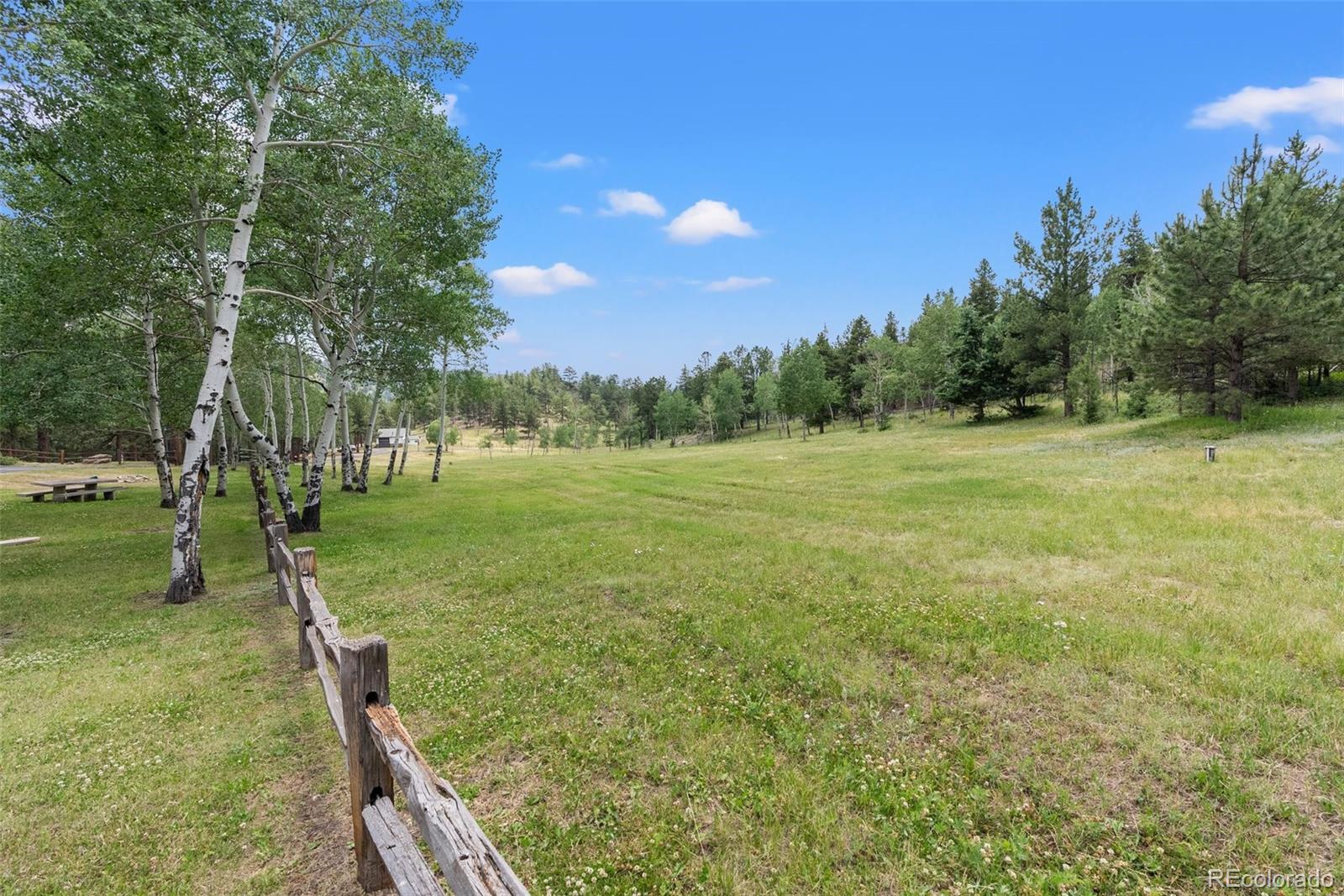 1680 Crow Valley Road Bailey, CO 80421 - Photo 41 of 50 a view of a field with trees in the background