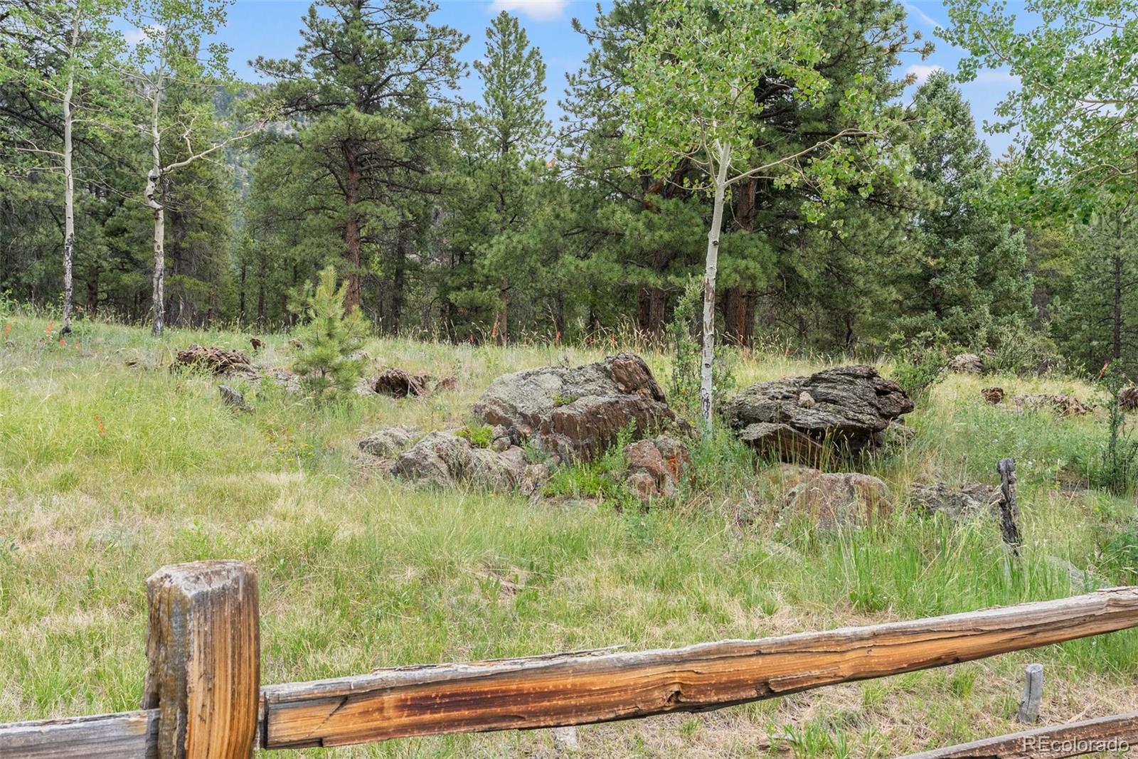 1680 Crow Valley Road Bailey, CO 80421 - Photo 42 of 50 a view of a garden with plants