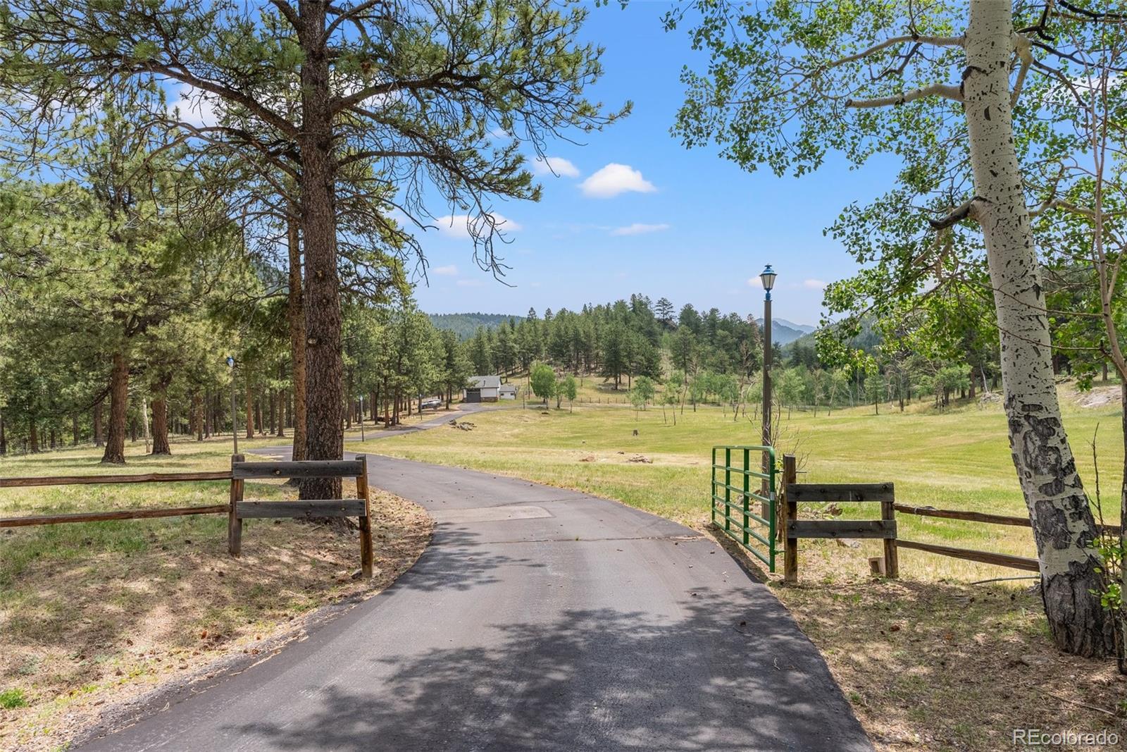 1680 Crow Valley Road Bailey, CO 80421 - Photo 45 of 50 a view of a yard with swimming pool