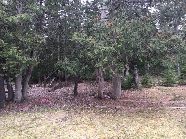 18141 Cedar Terrace Road Presque Isle, MI 49777 - Photo 38 of 41 Gallery Image 38