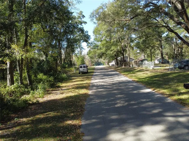 a view of a yard with large trees