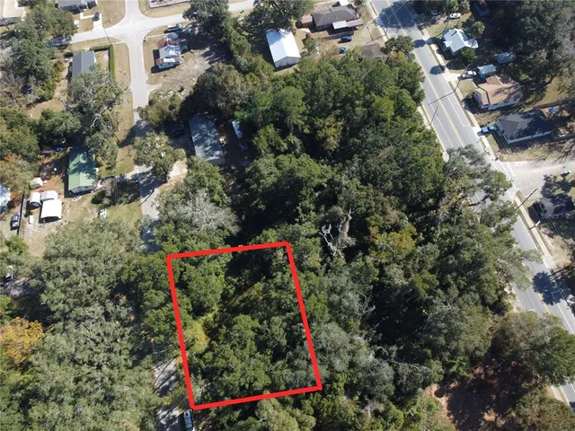 an aerial view of street and trees