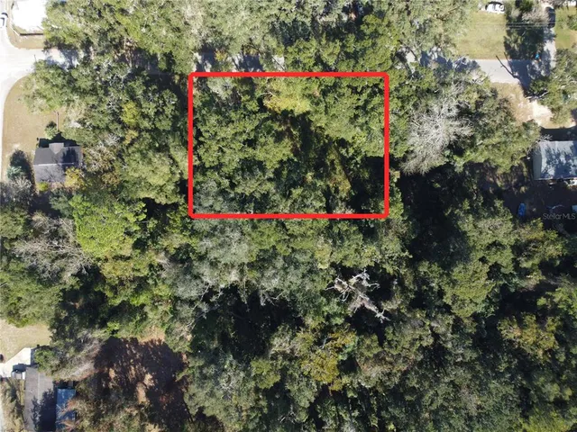 a view of a flower garden