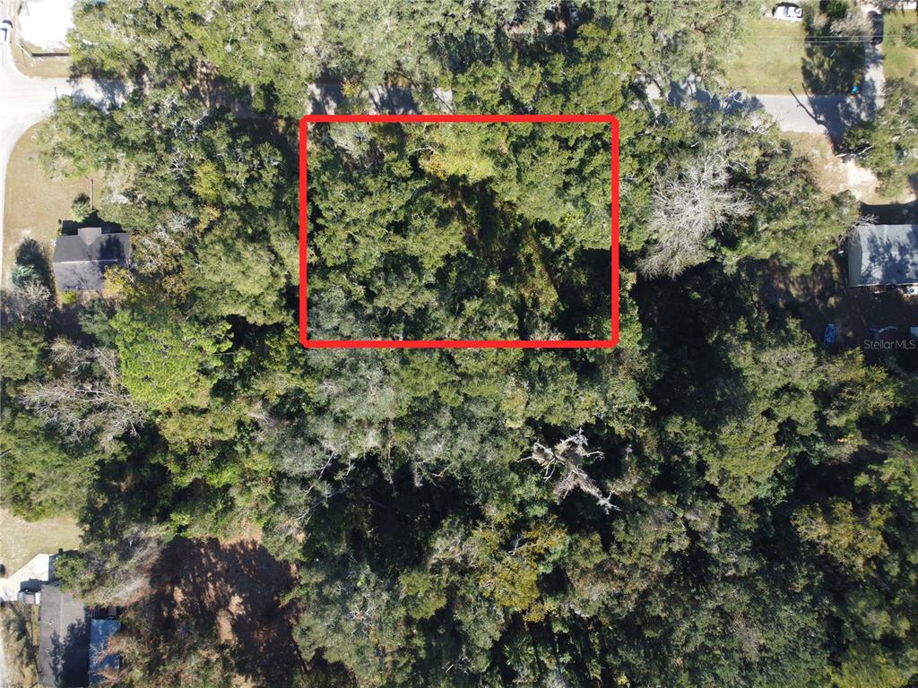 Tbd Northwest 187th Avenue High Springs, FL 32643 - Photo 7 of 14