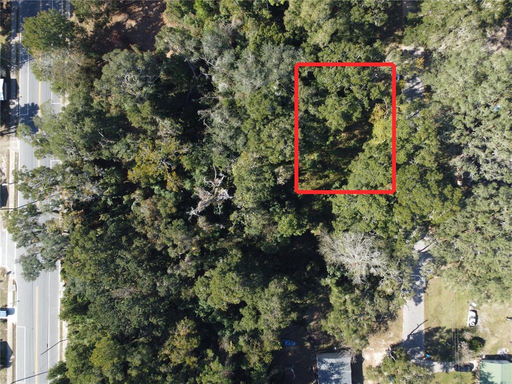 Tbd Northwest 187th Avenue High Springs, FL 32643 - Photo 8 of 14