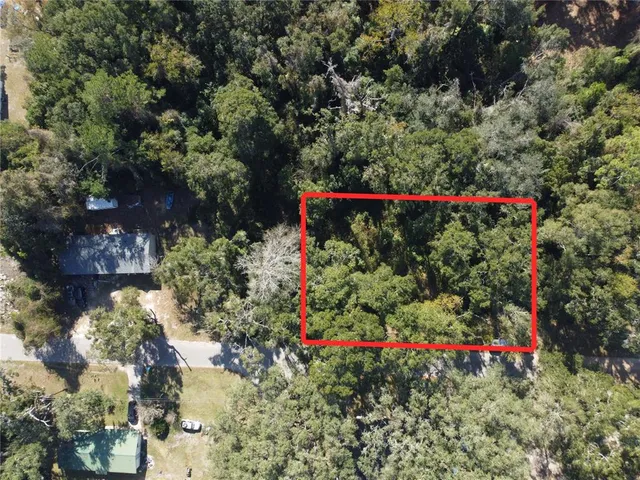 a picture of flowers