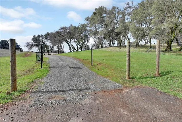 a view of a yard with an trees
