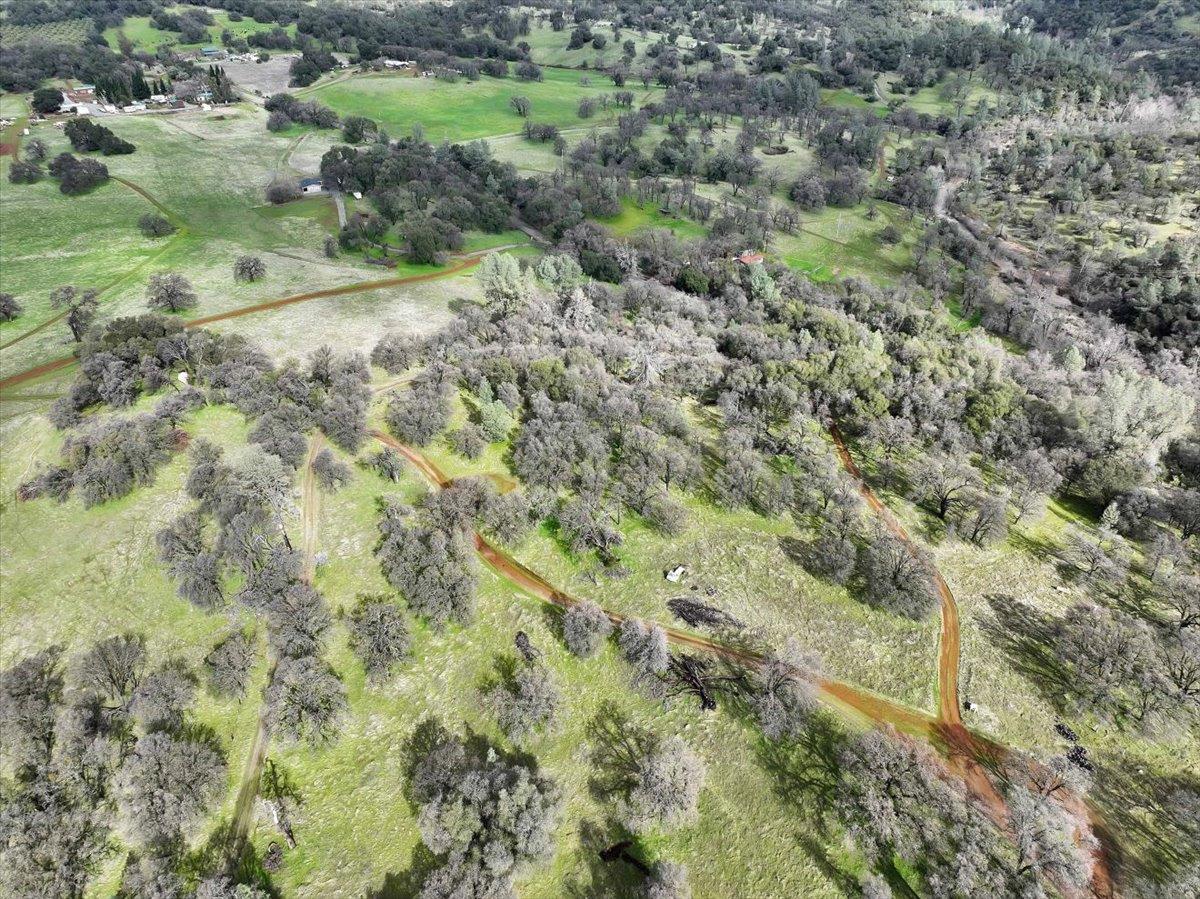 790 Los Verjeles Road Bangor, CA 95901 - Photo 64 of 97 a view of a forest with a tree