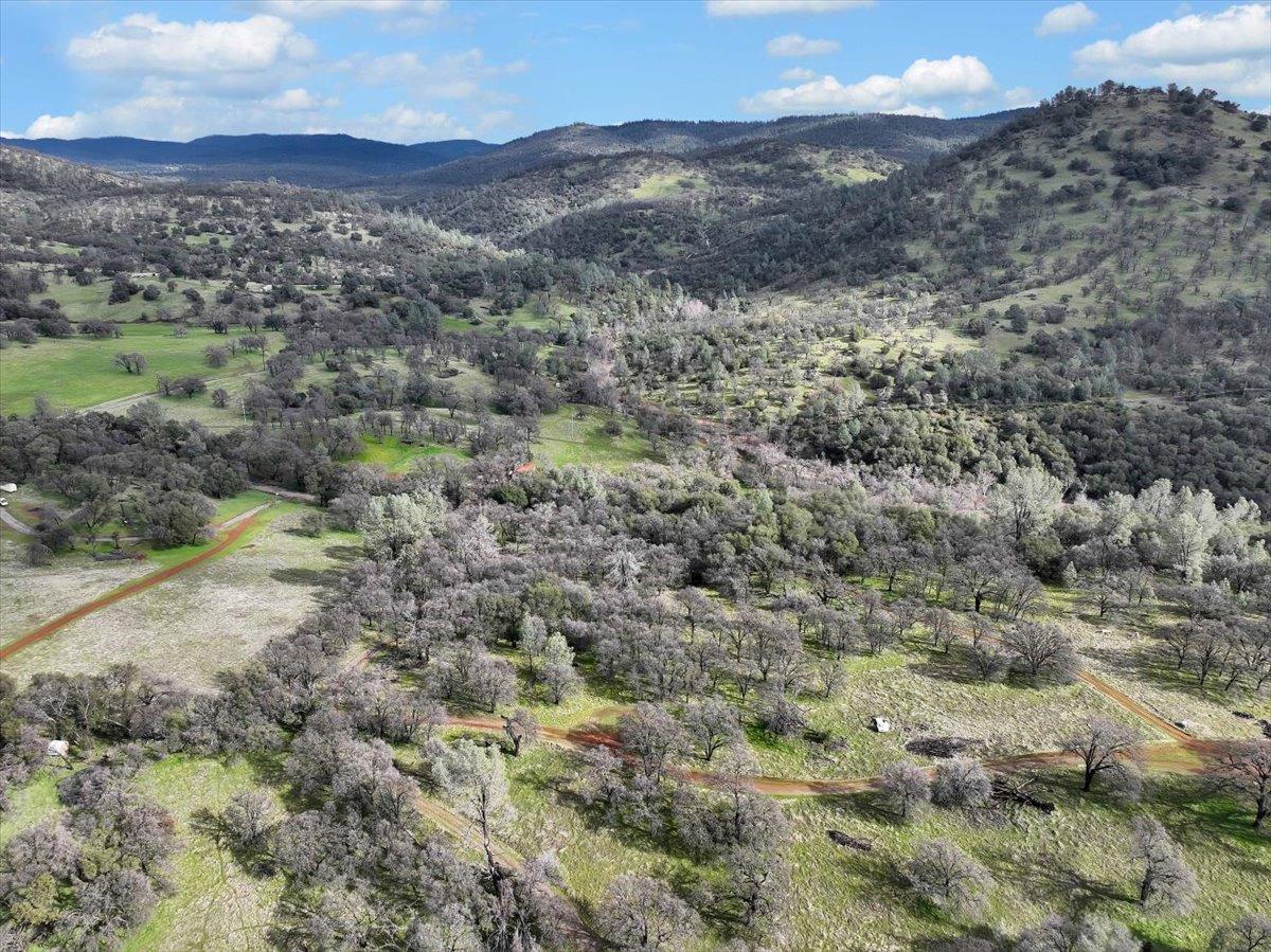 790 Los Verjeles Road Bangor, CA 95901 - Photo 65 of 97 a view of a forest with mountains in the background