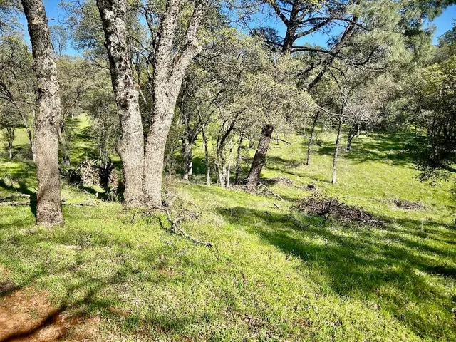 $685,000 | 790 Los Verjeles Road, Bangor, CA 95901