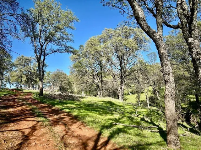 $685,000 | 790 Los Verjeles Road, Bangor, CA 95901