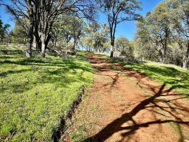 $685,000 | 790 Los Verjeles Road, Bangor, CA 95901