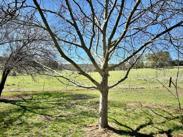 $685,000 | 790 Los Verjeles Road, Bangor, CA 95901