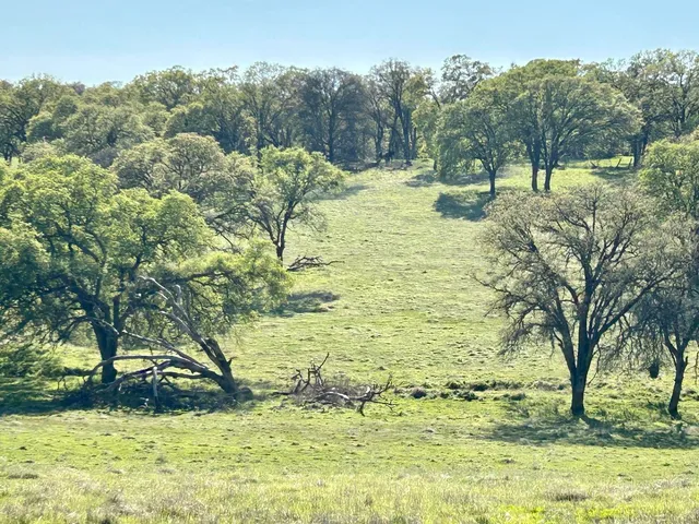 $685,000 | 790 Los Verjeles Road, Bangor, CA 95901