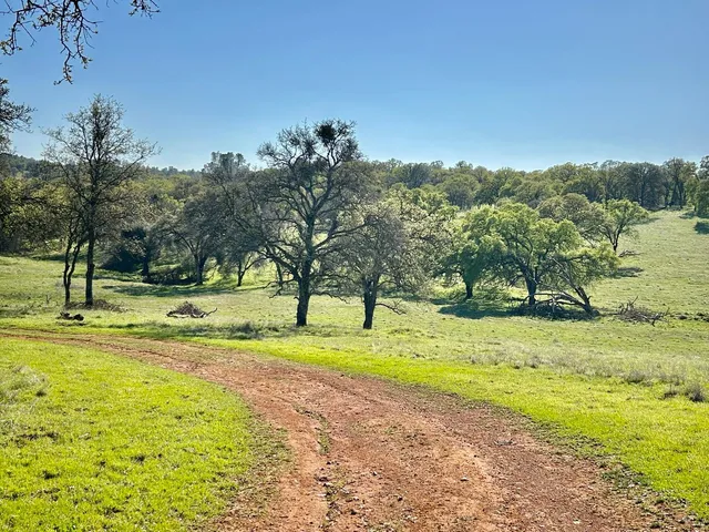 $685,000 | 790 Los Verjeles Road, Bangor, CA 95901