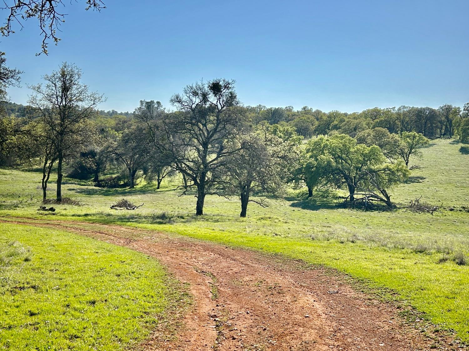 790 Los Verjeles Road Bangor, CA 95901 - Photo 96 of 97