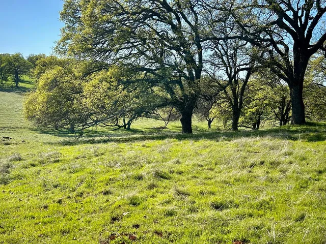 $685,000 | 790 Los Verjeles Road, Bangor, CA 95901