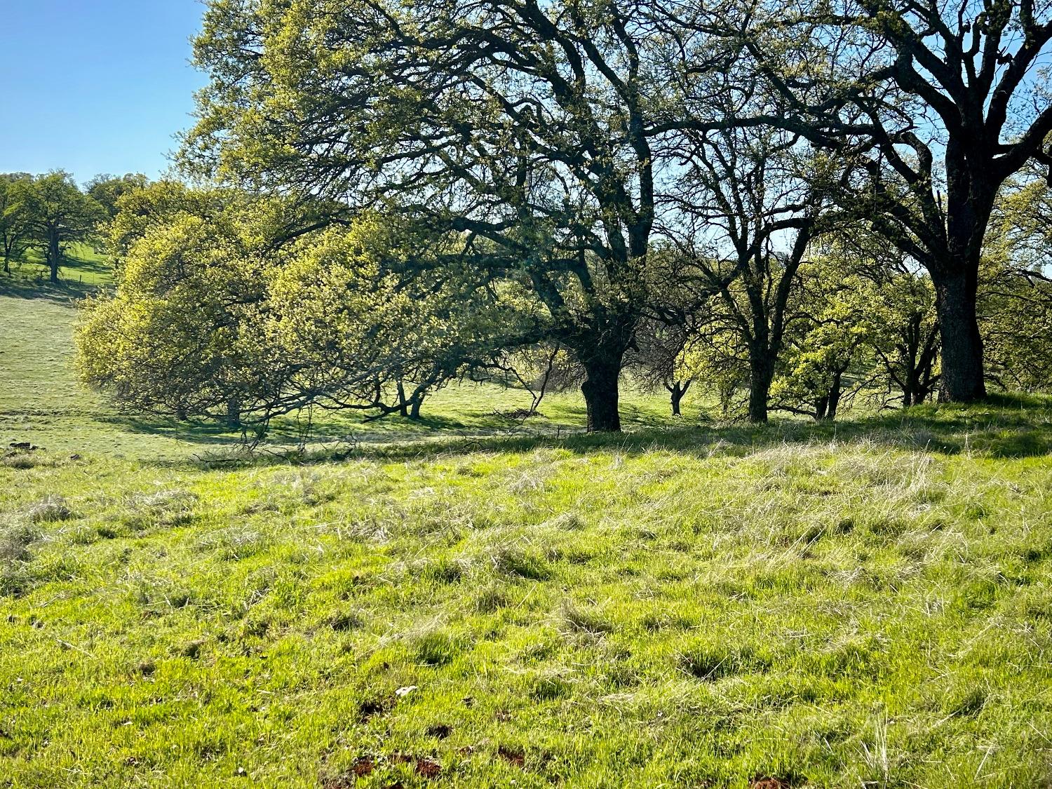 790 Los Verjeles Road Bangor, CA 95901 - Photo 97 of 97