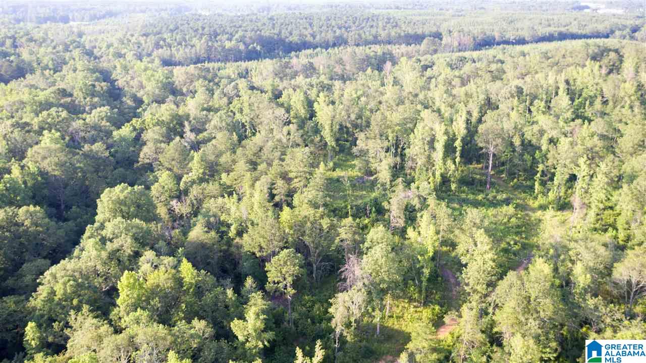 180 Gibson Road, Unit 76 / ACRES OFF GIBSON R Columbiana, AL 35051 - Photo 9 of 50