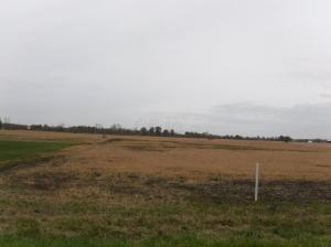 0 Brindle Road, Unit TRACT 15 Ostrander, OH 43061 - Photo 4 of 4