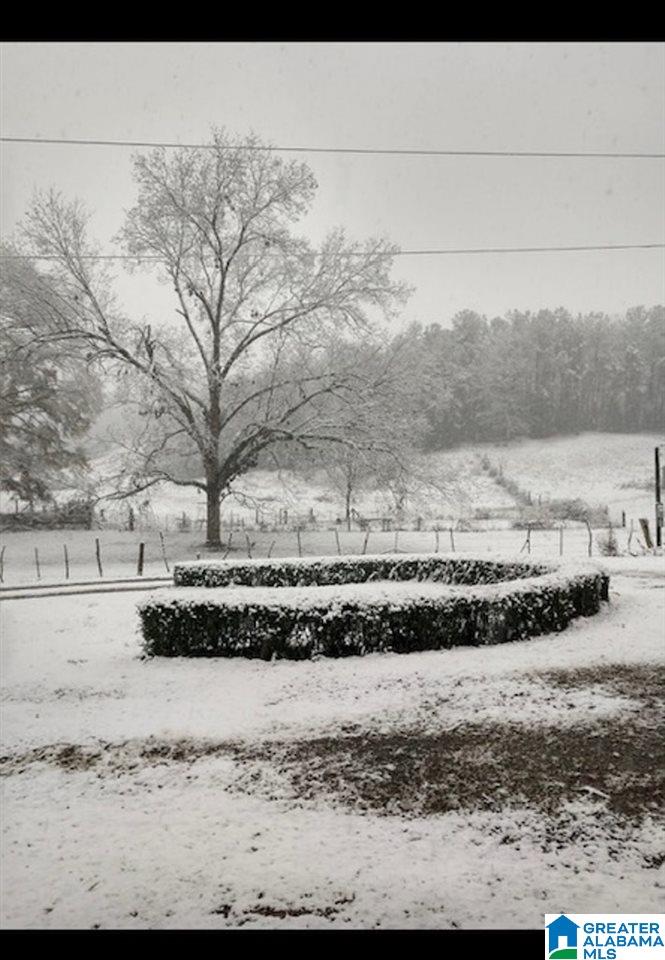 3154 Taylors Mill Road Talladega, AL 35160 - Photo 45 of 46