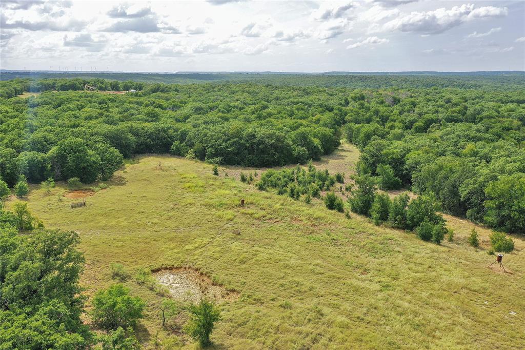 157-acres Nash Road Jacksboro, TX 76458 - Photo 18 of 40 Gallery Image 18