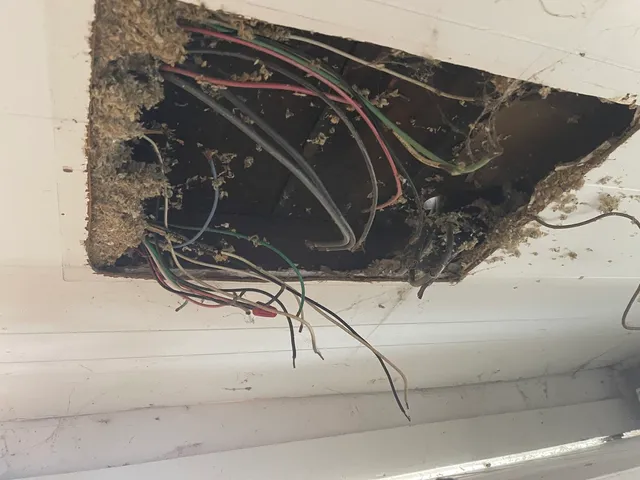 $40,000 | 501 East Mulberry Street, Bloomington, IL 61701