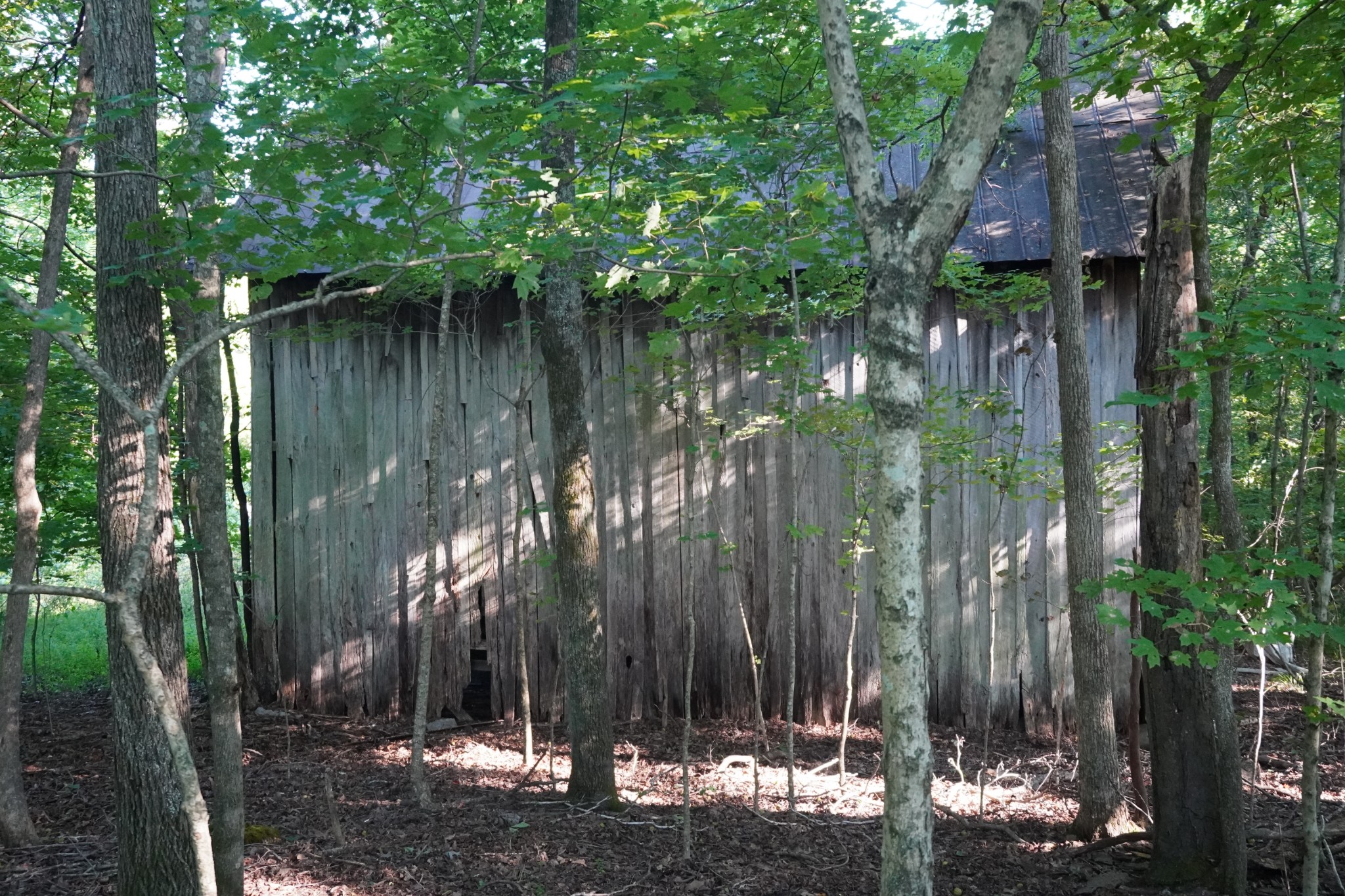 2292 South Hinton Road Southside, TN 37171 - Photo 4 of 32 a view of a house with a tree in front of it