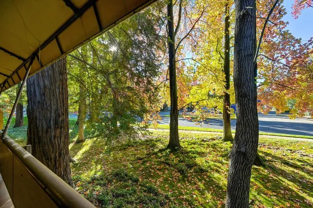 a view of a yard from a balcony