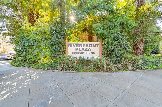 a sign that is sitting in front of a tree