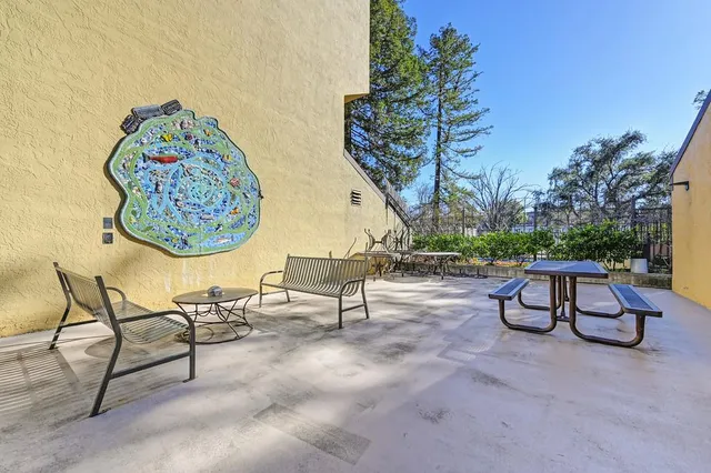 a view of a bench and bench in a backyard