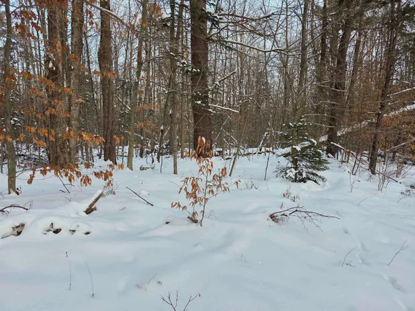 $245,000 | 0 Fire Brook Road, Ripton, VT 05766