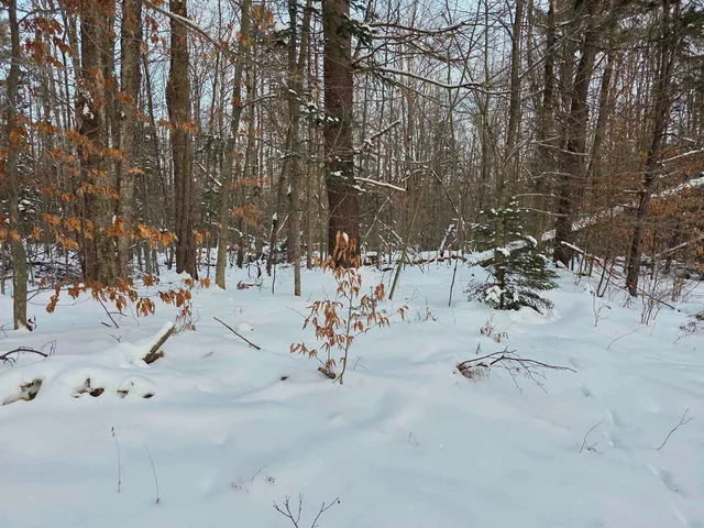 $245,000 | 0 Fire Brook Road, Ripton, VT 05766