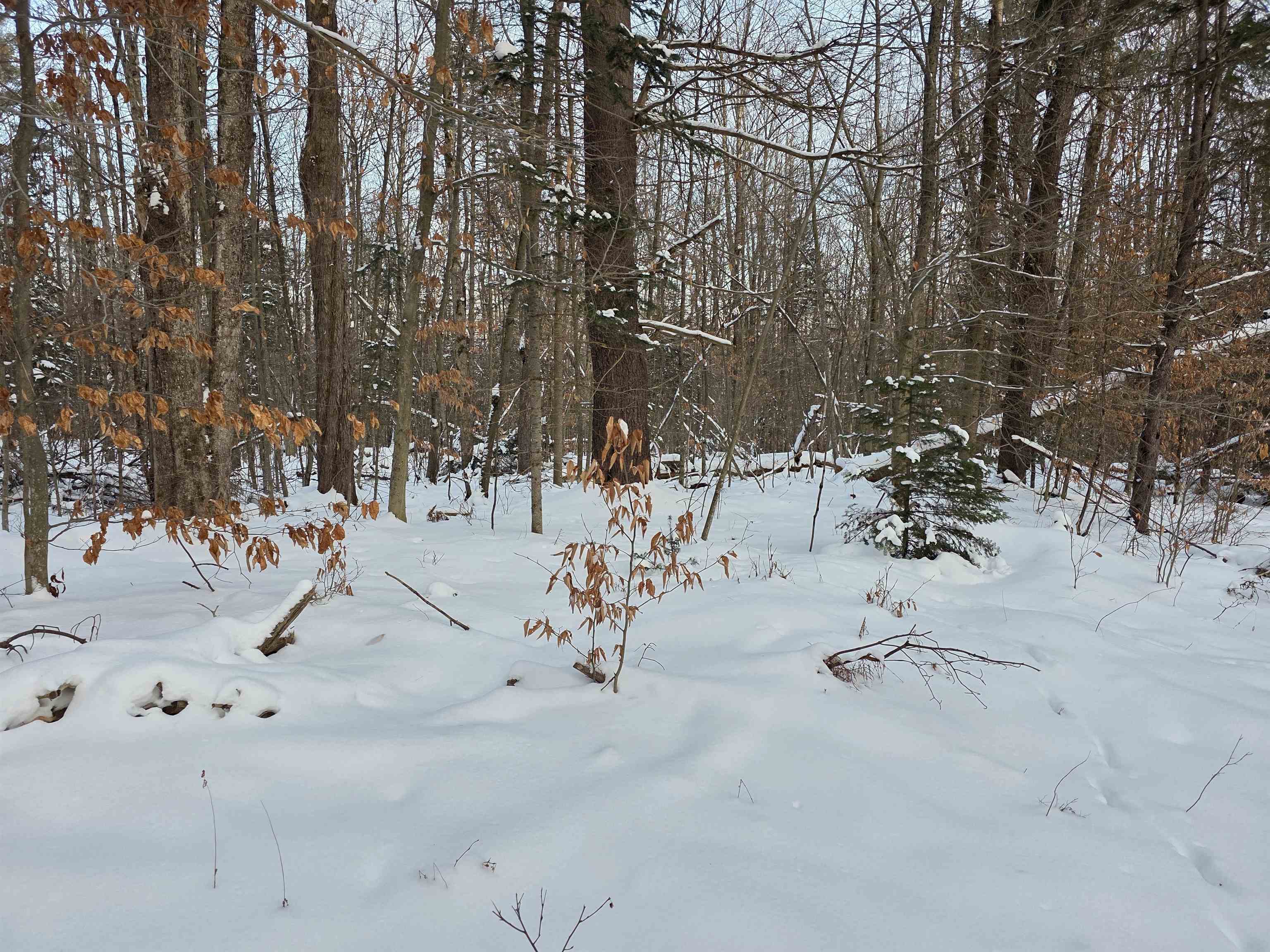 0 Fire Brook Road Ripton, VT 05766 - Photo 2 of 3