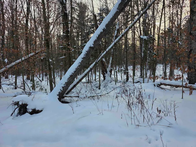 $245,000 | 0 Fire Brook Road, Ripton, VT 05766