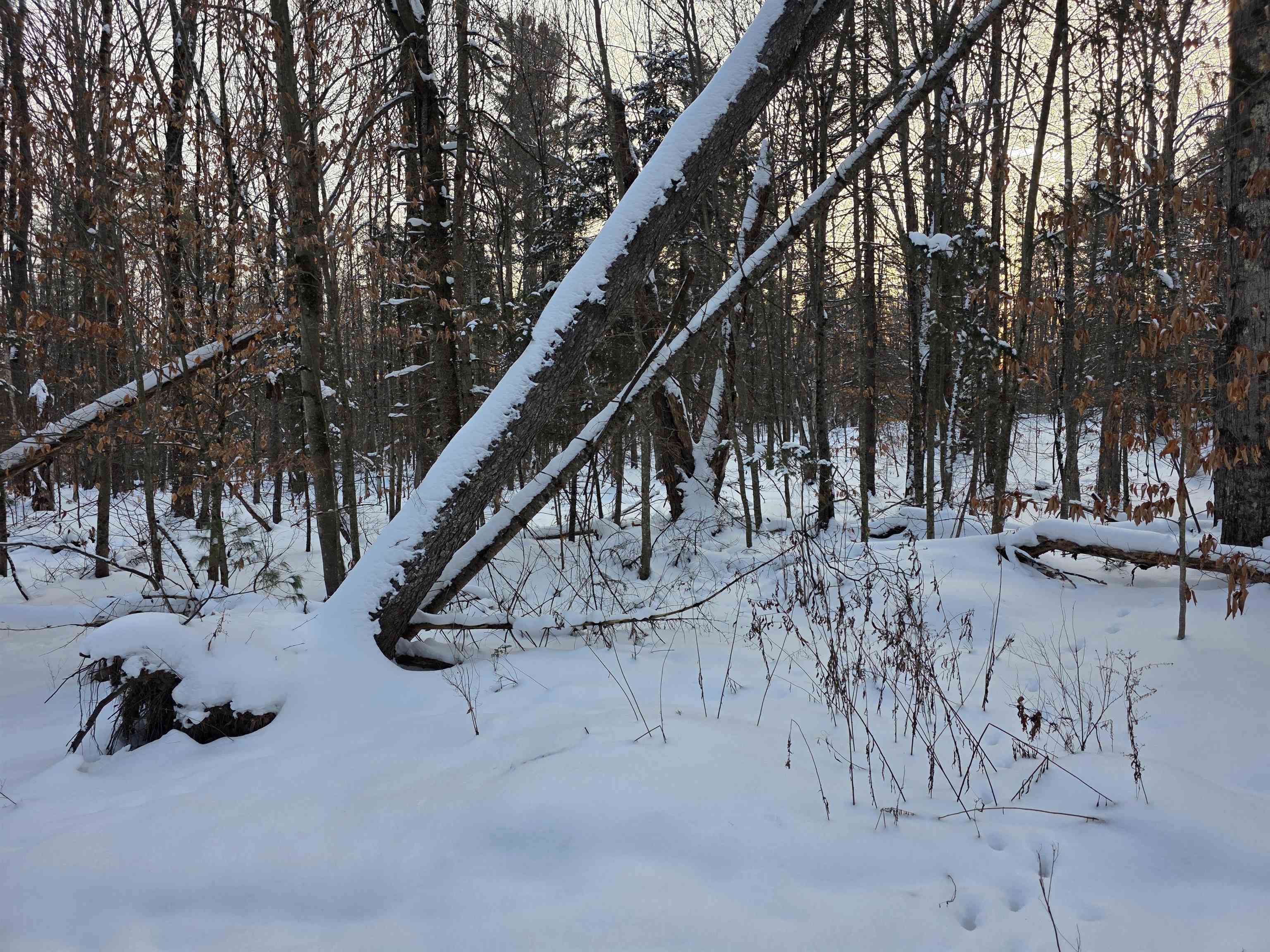 0 Fire Brook Road Ripton, VT 05766 - Photo 3 of 3