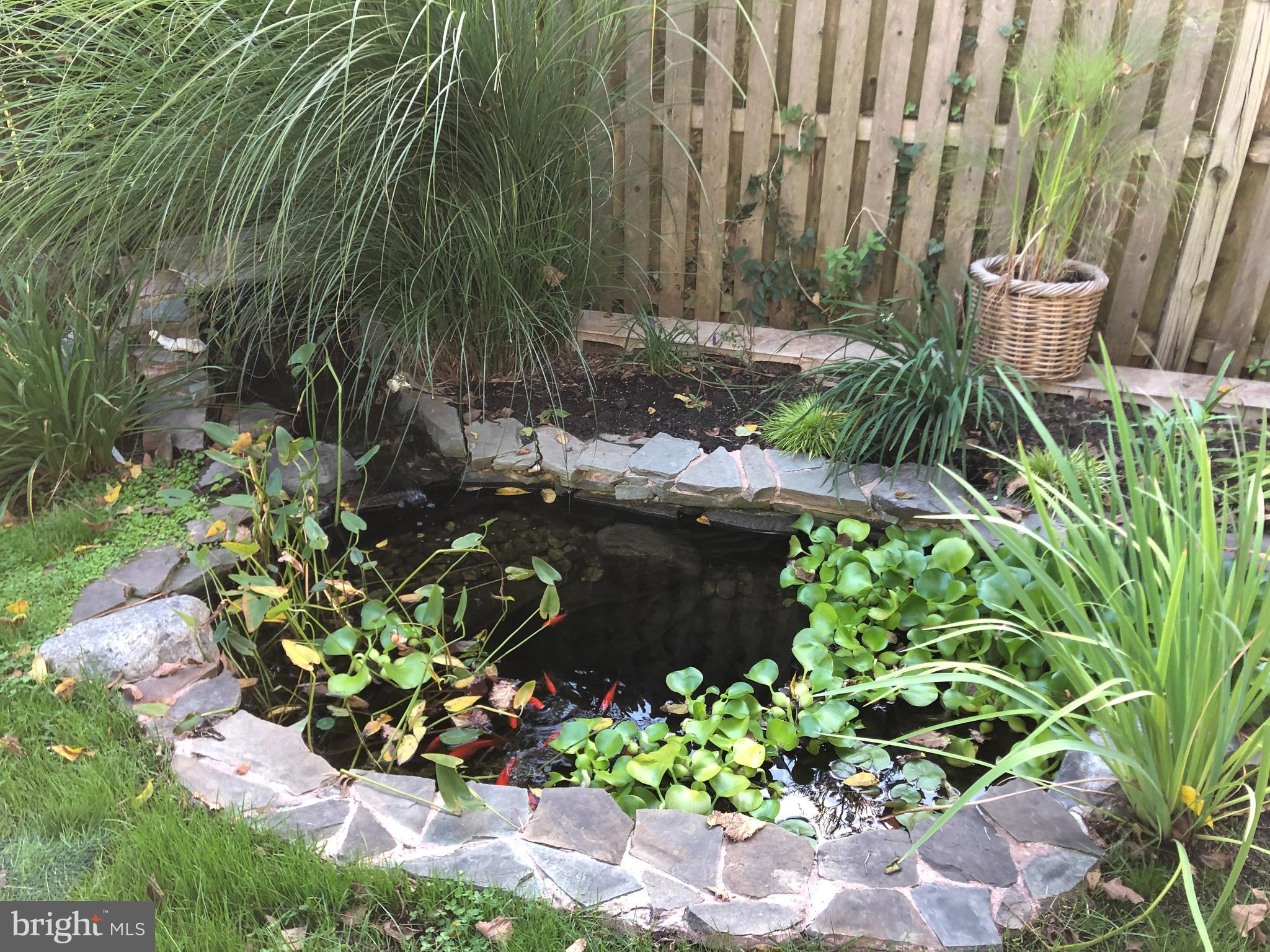 115 Fowler Avenue Haddonfield, NJ 08033 - Photo 51 of 53 Back Yard - Pond