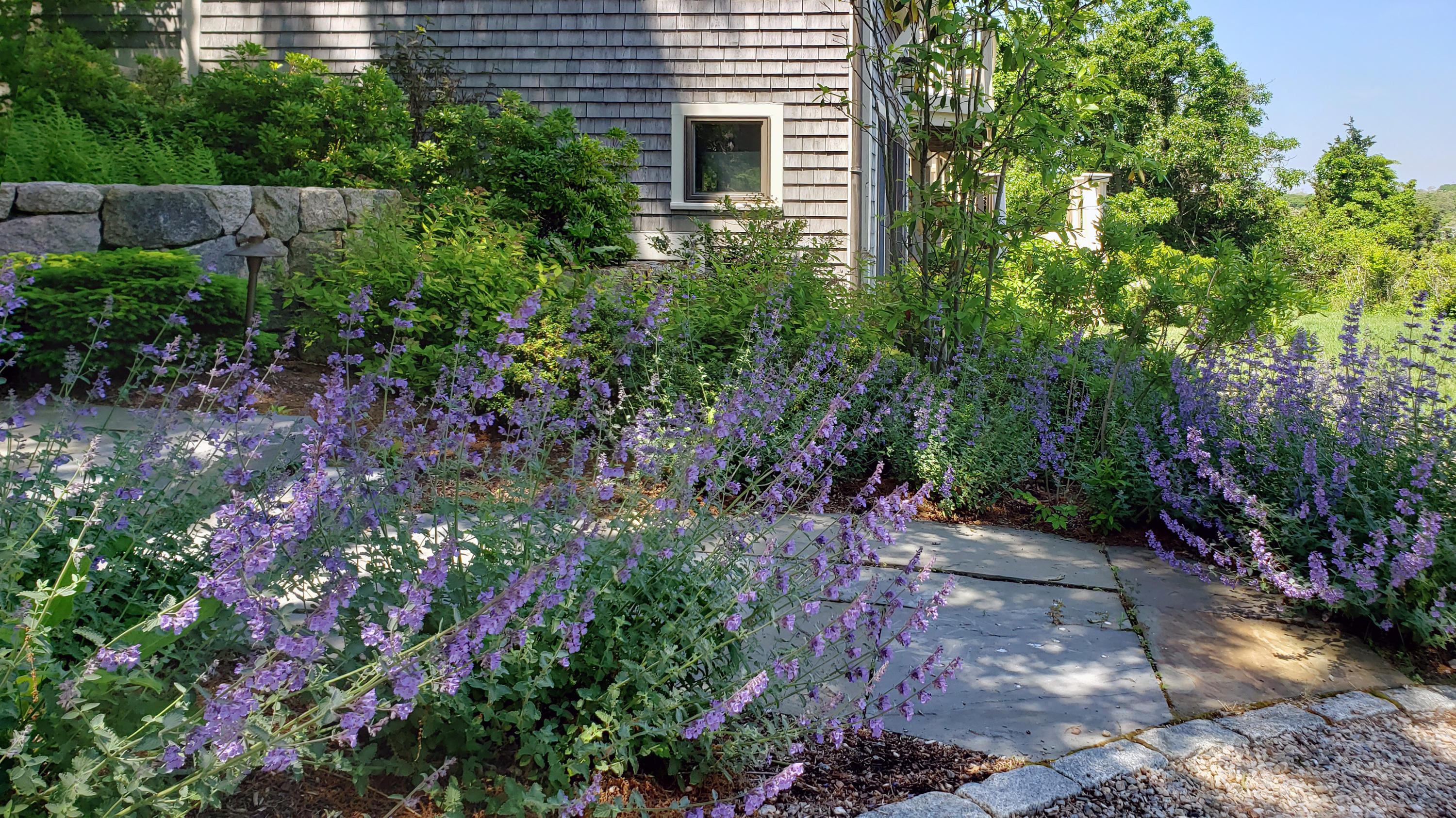 33 Ruggles Road Orleans, MA 02653 - Photo 63 of 80 lavender