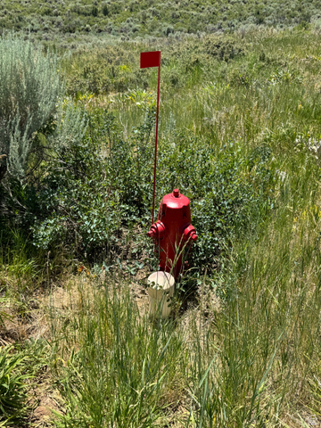 3530 Long Ridge Circle, Unit 7 Garden City, UT 84028 - Photo 12 of 25 Fire Hydrant by lot lines