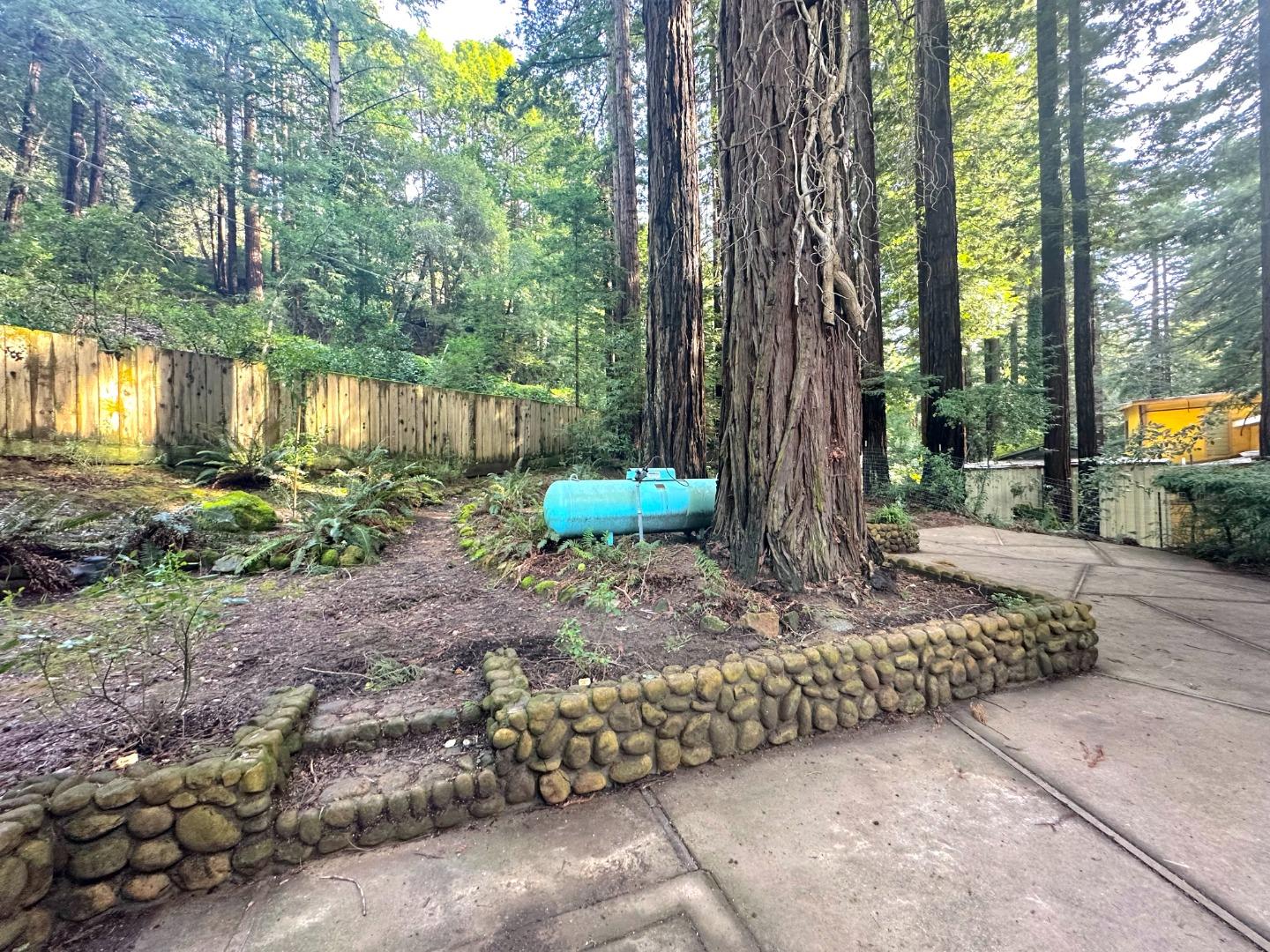 155 McGaffigan Mill Road Boulder Creek, CA 95006 - Photo 19 of 23 a backyard of a house with lots of green space
