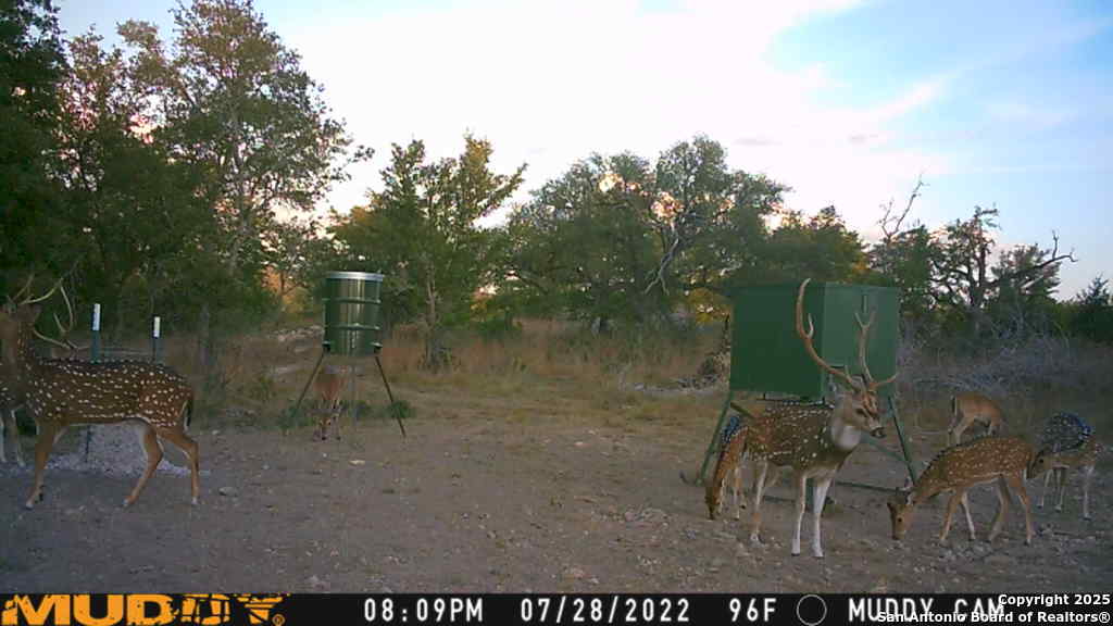 Lot 2 Live Oak Ridge Bandera, TX 78003 - Photo 9 of 11 a backyard of a house with table and chairs