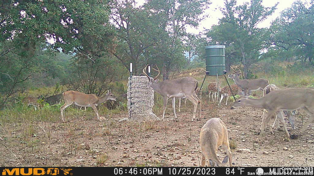 Lot 2 Live Oak Ridge Bandera, TX 78003 - Photo 10 of 11 a view of a backyard with a patio and lake view