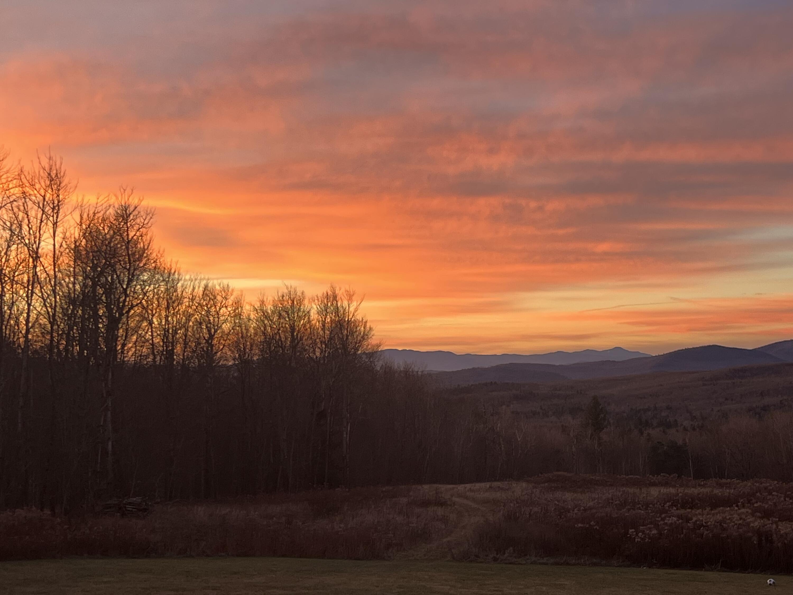 358 Number 37 Road Saranac, NY 12981 - Photo 29 of 30