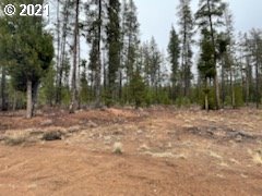 2011 Bear Flat Road Chemult, OR 97731 - Photo 16 of 16 Gallery Image 16