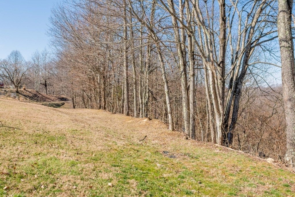 110 Tayberry Road Bandy, VA 24602 - Photo 52 of 75 Gallery Image 52
