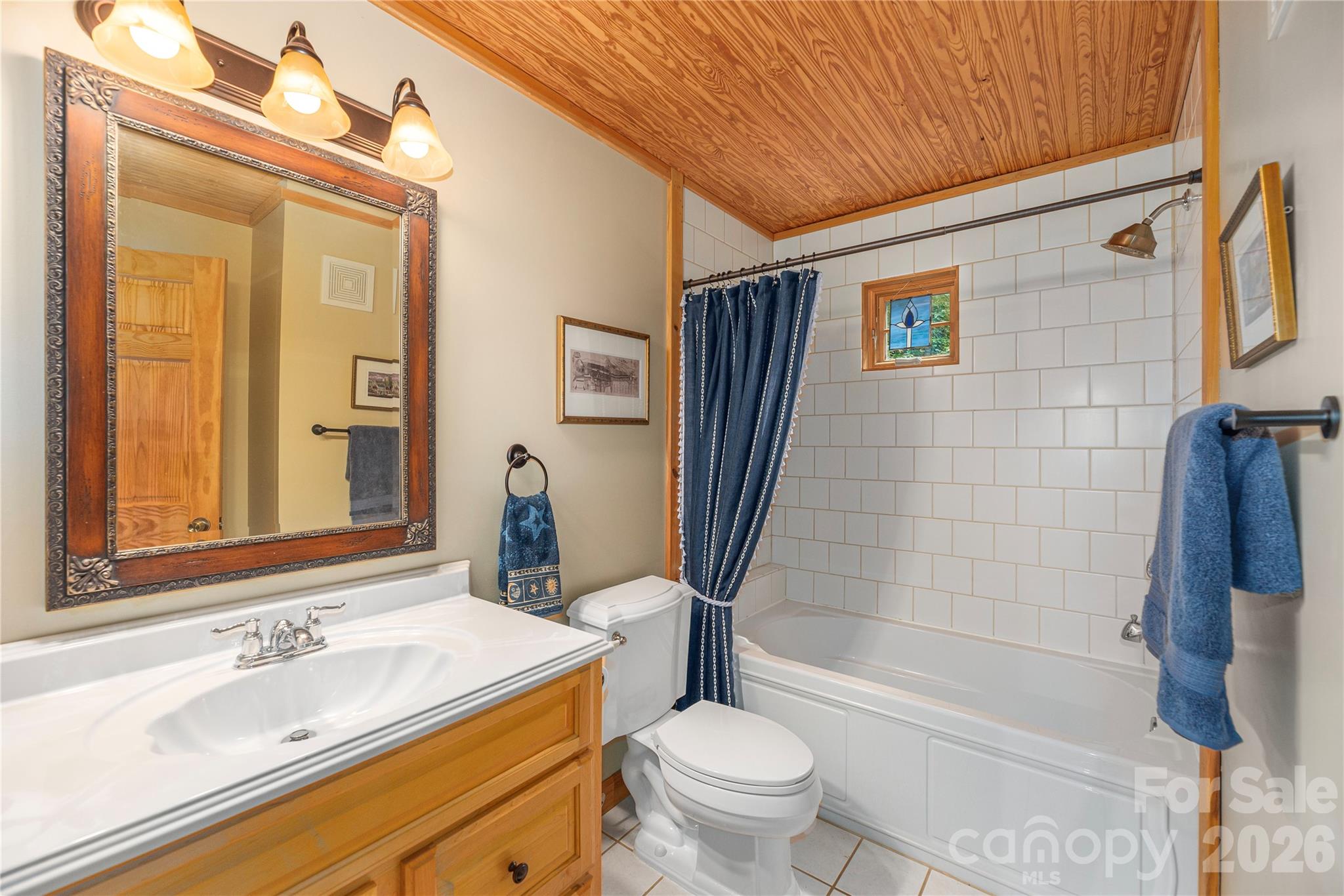 116 Ivy Road Mills River, NC 28759 - Photo 26 of 45 a bathroom with a sink a toilet and shower